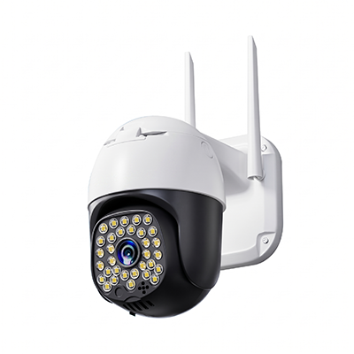Laser Pet Toy PTZ Camera
